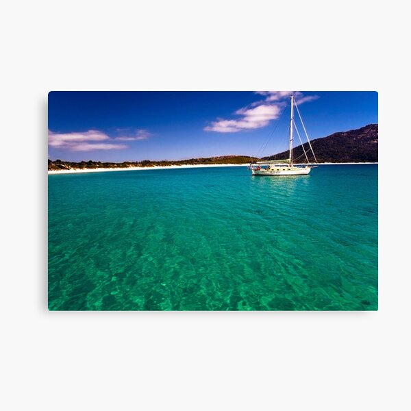 wineglass Canvas Print