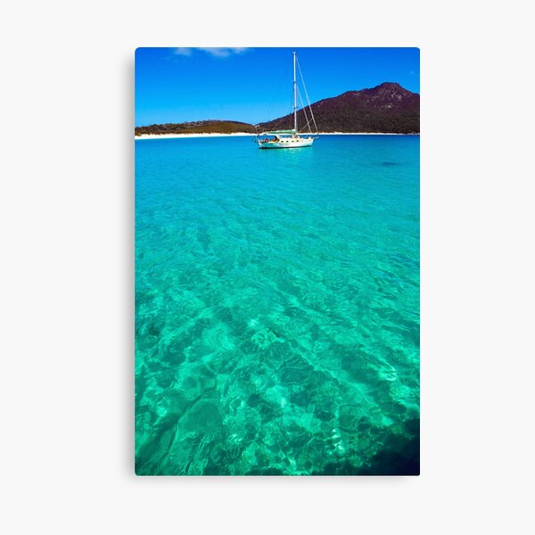 turquoise blue Canvas Print