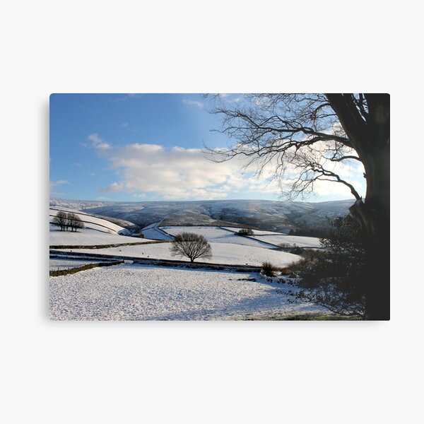 It's Cold in them thar hills! Metal Print