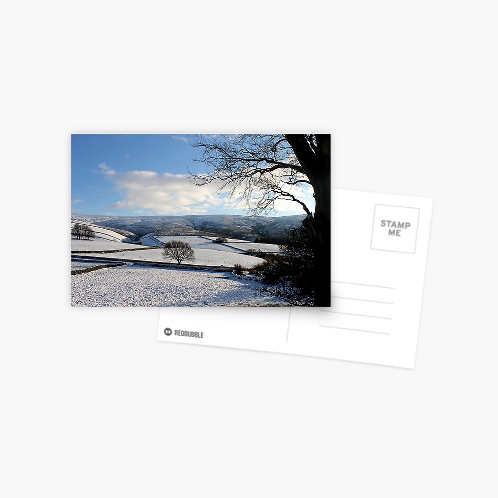 "It's Cold in them thar hills!" Postcard for Sale by msmitham Redbubble