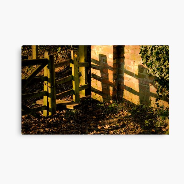 Evening shadows Canvas Print