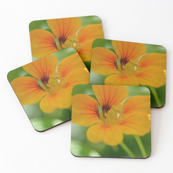 Item preview, Bright Nasturtium designed and sold by imaginethis.