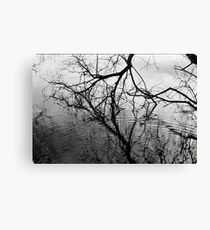 Black and White reflections Canvas Print