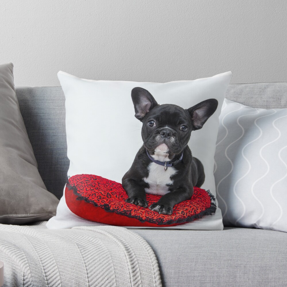 throw pillows with dog pictures