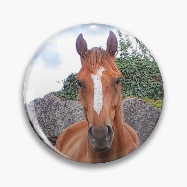 Item preview, The Chestnut mare  designed and sold by Tjb62.