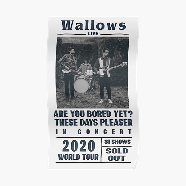 Wallows Beatles style poster Poster