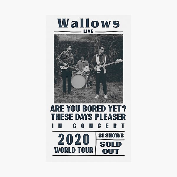 Wallows Beatles style poster Photographic Print