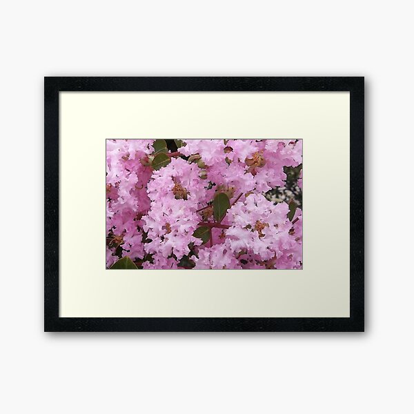 Item preview, Cotton Candy Crepe Myrtle Tree designed and sold by WildestArt.