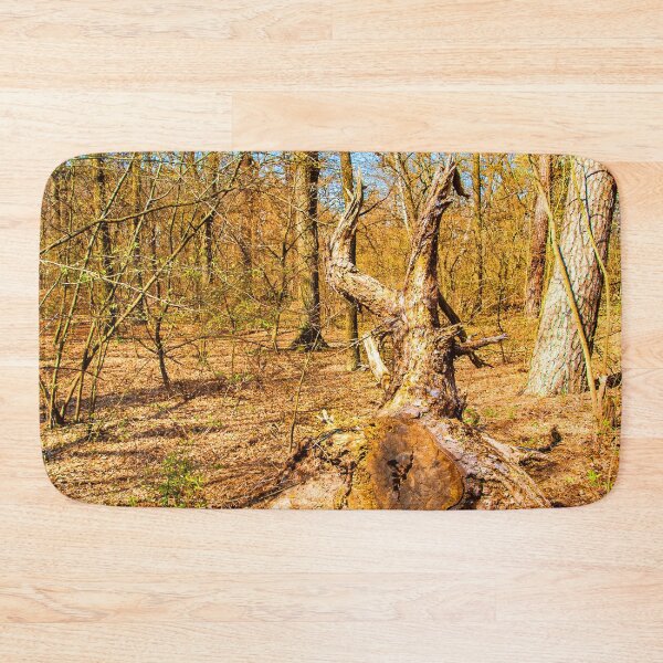 Item preview, Landscape with uprooted tree designed and sold by Rostislav Bouda.