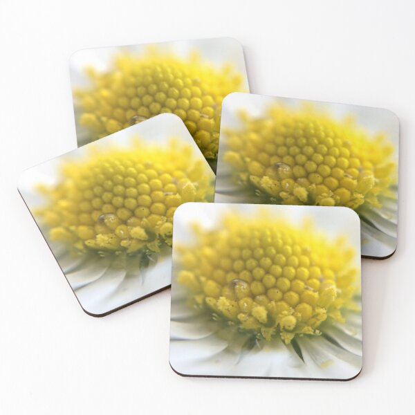 Item preview, Daisy designed and sold by Charles Oliver Creations.