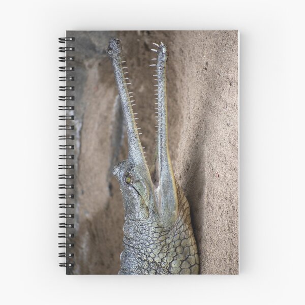 Item preview, Crocodile designed and sold by PicsByDerek.
