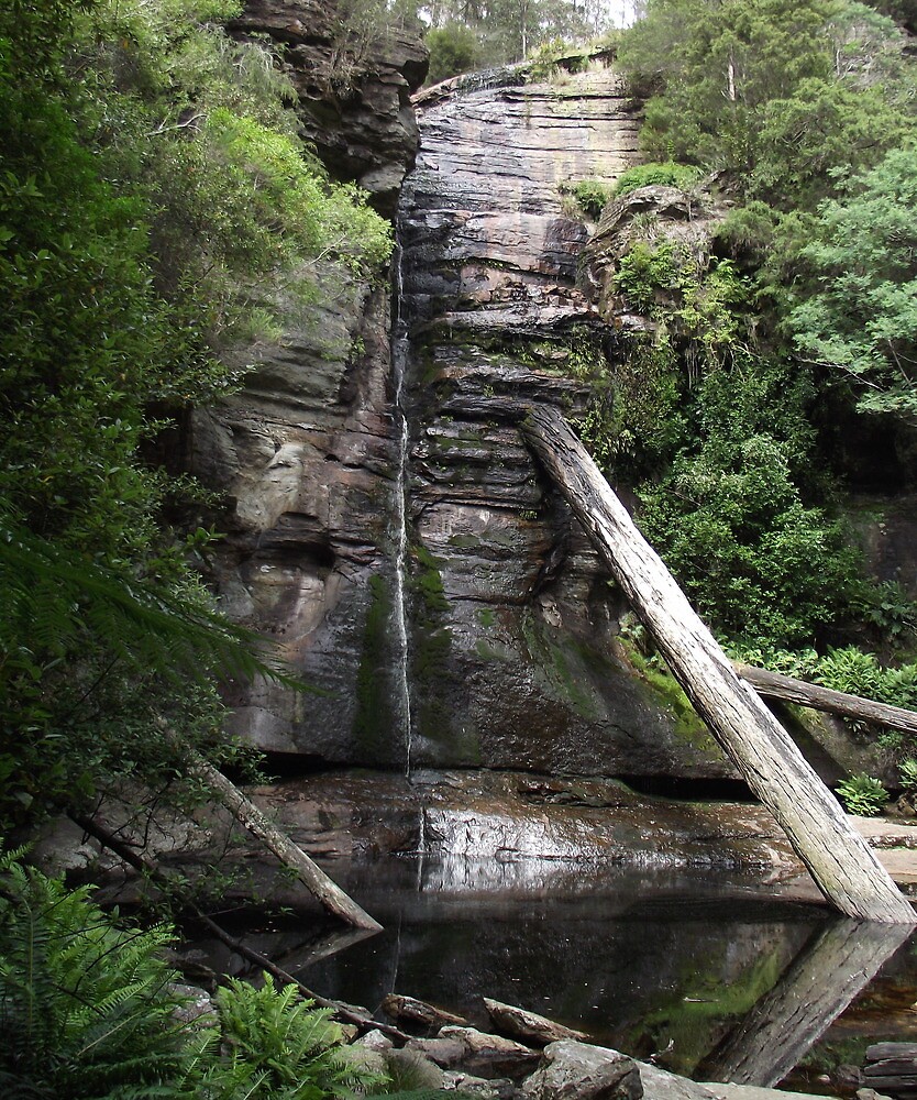 "Snug Falls Tasmania" by Gaylene Norton Redbubble