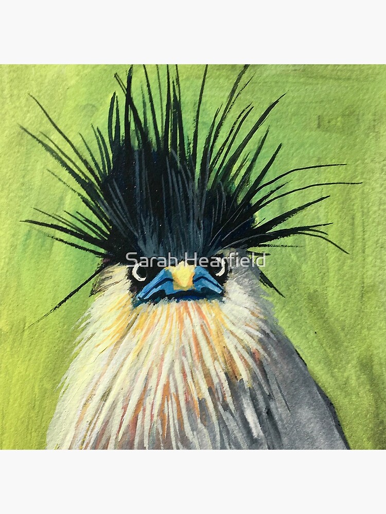 This bird, A Brahminy Starling, showing off hair in the time of a pandemic. by sarahrozdilski