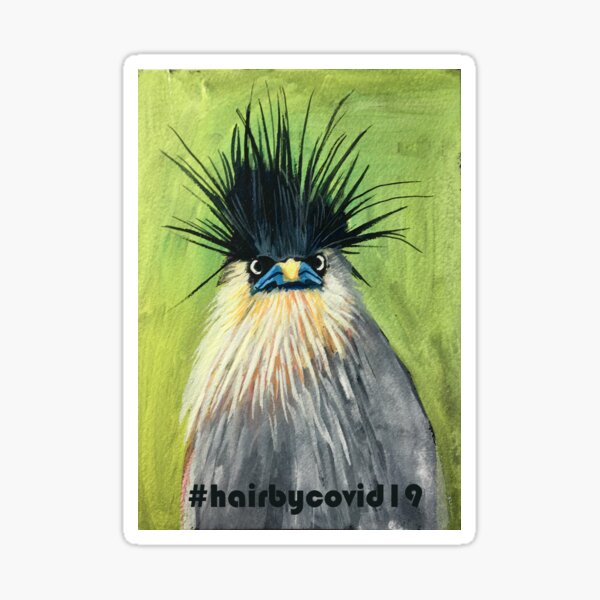 This bird, A Brahminy Starling, showing off hair in the time of a pandemic. Sticker