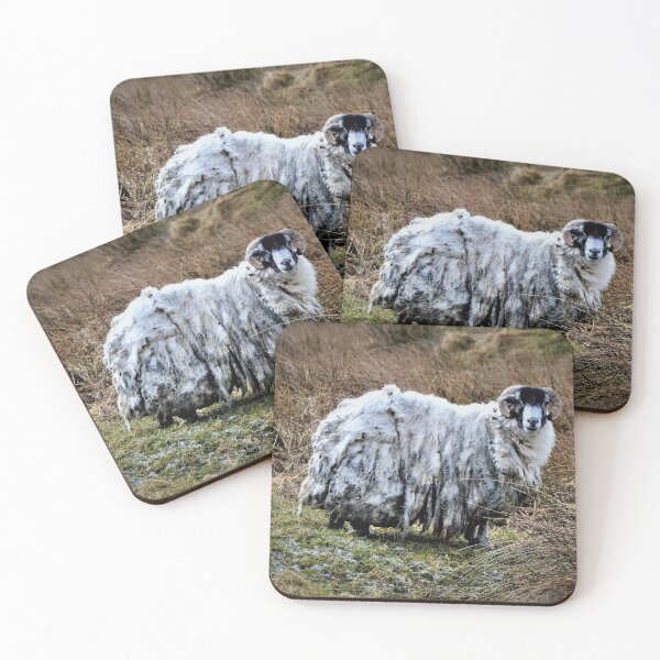 Item preview, Shabby Sheep designed and sold by jmnicolson.