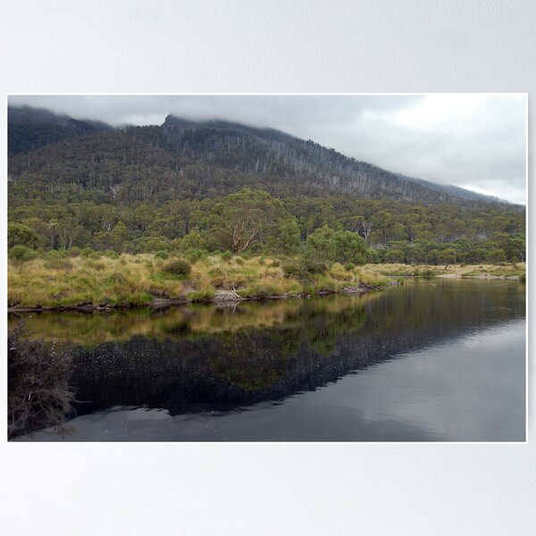Item preview, Thredbo beauty designed and sold by Richard  Stanley.