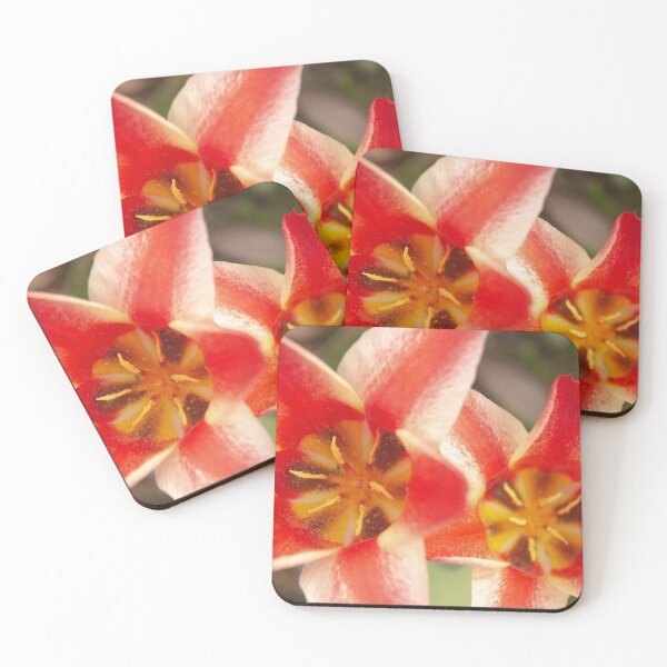 Item preview, Tulips designed and sold by ellenmpics.