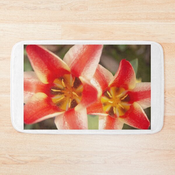 Item preview, Tulips designed and sold by ellenmpics.