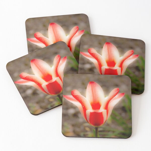 Item preview, Tulip designed and sold by ellenmpics.