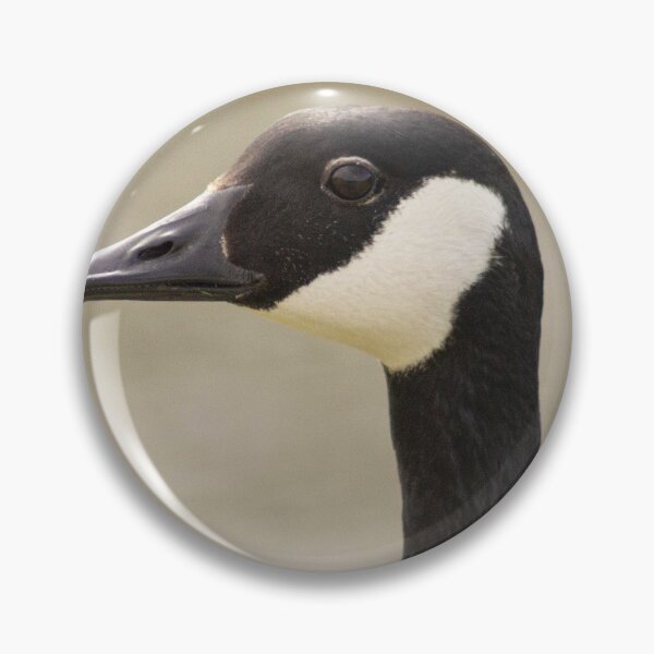 Item preview, Portrait Of A Canadian Goose designed and sold by ellenmpics.