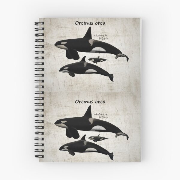 Item preview, Orca map  designed and sold by Ida Eriksson.