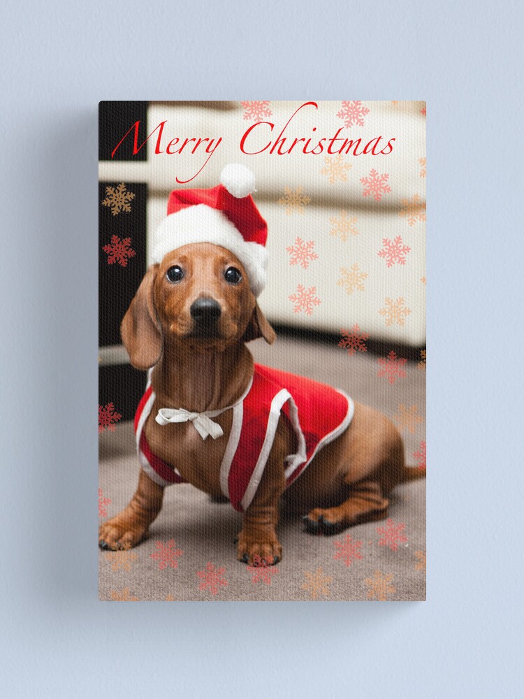 "Merry Christmas Sausage Dog" Canvas Print for Sale by xploit Redbubble