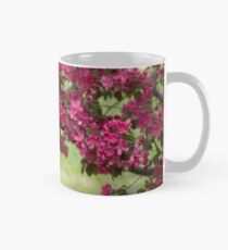Taza clásica Branch of Blooming Apple Tree
