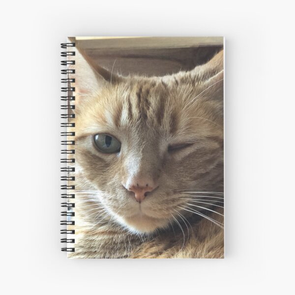 *Guiño* Cuaderno de espiral