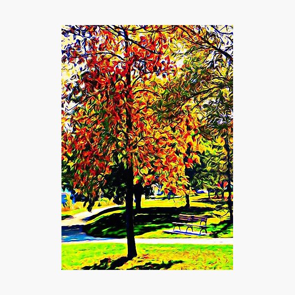 Autumn hues © Photographic Print