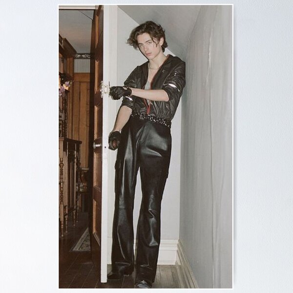 Item preview, Timothee Chalamet designed and sold by andi0521.