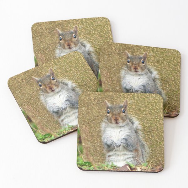 Item preview, Cute Squirrel designed and sold by Frankie Cat Photography.