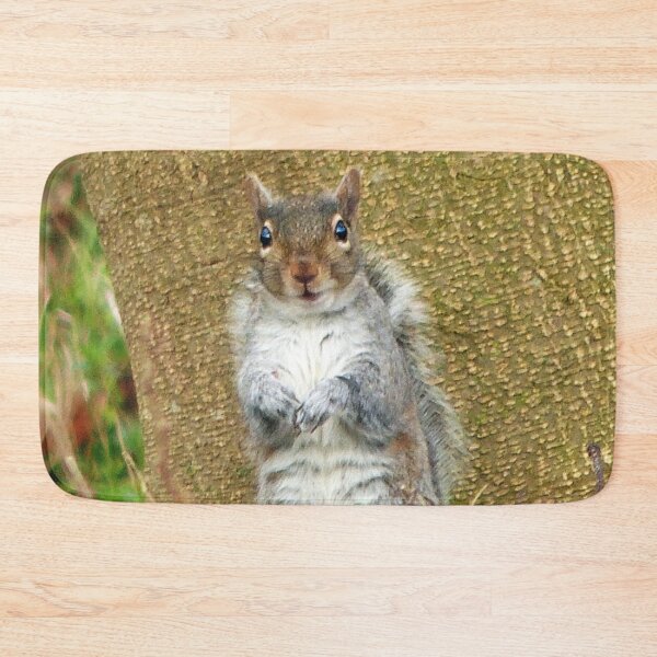 Item preview, Cute Squirrel designed and sold by Frankie Cat Photography.