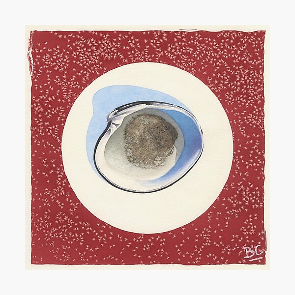 Red Seashell Sitting Serenely Photographic Print
