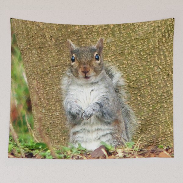 Item preview, Cute Squirrel designed and sold by Frankie Cat Photography.