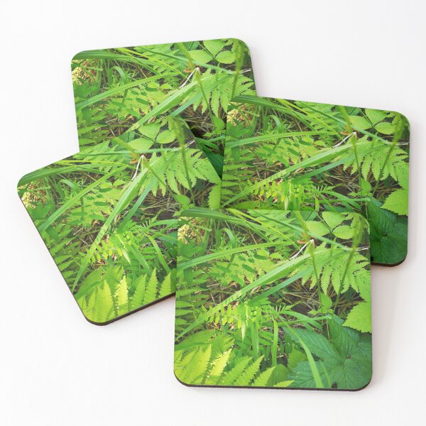 Item preview, nature designed and sold by 9Evgeniy9.