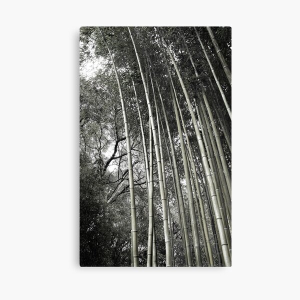 Hakone Bamboo 1 Canvas Print
