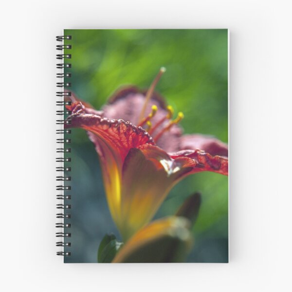 Item preview, Red Day Lily in a Garden designed and sold by William63.
