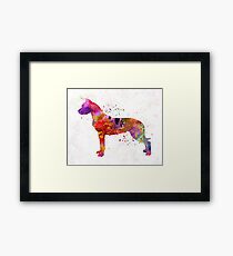 Dogo Argentino in watercolor Framed Print