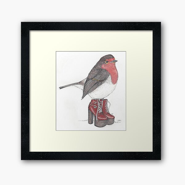 birds in shoes