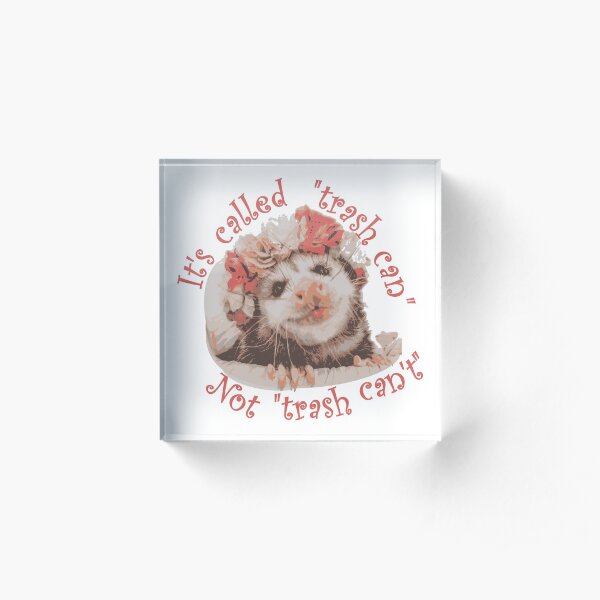 Trash Can't Possum Acrylic Block