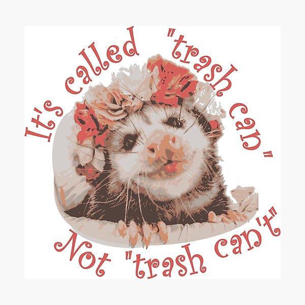 Trash Can't Possum Photographic Print