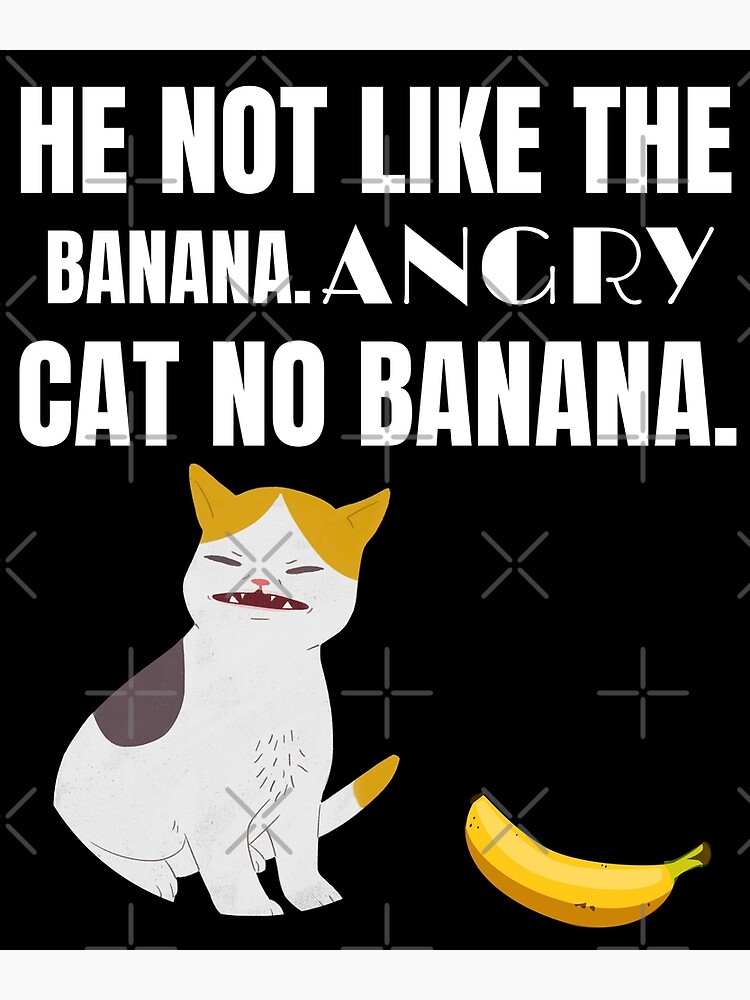 Angry cat no banana meme calico kitty hate yellow fruit - Angry