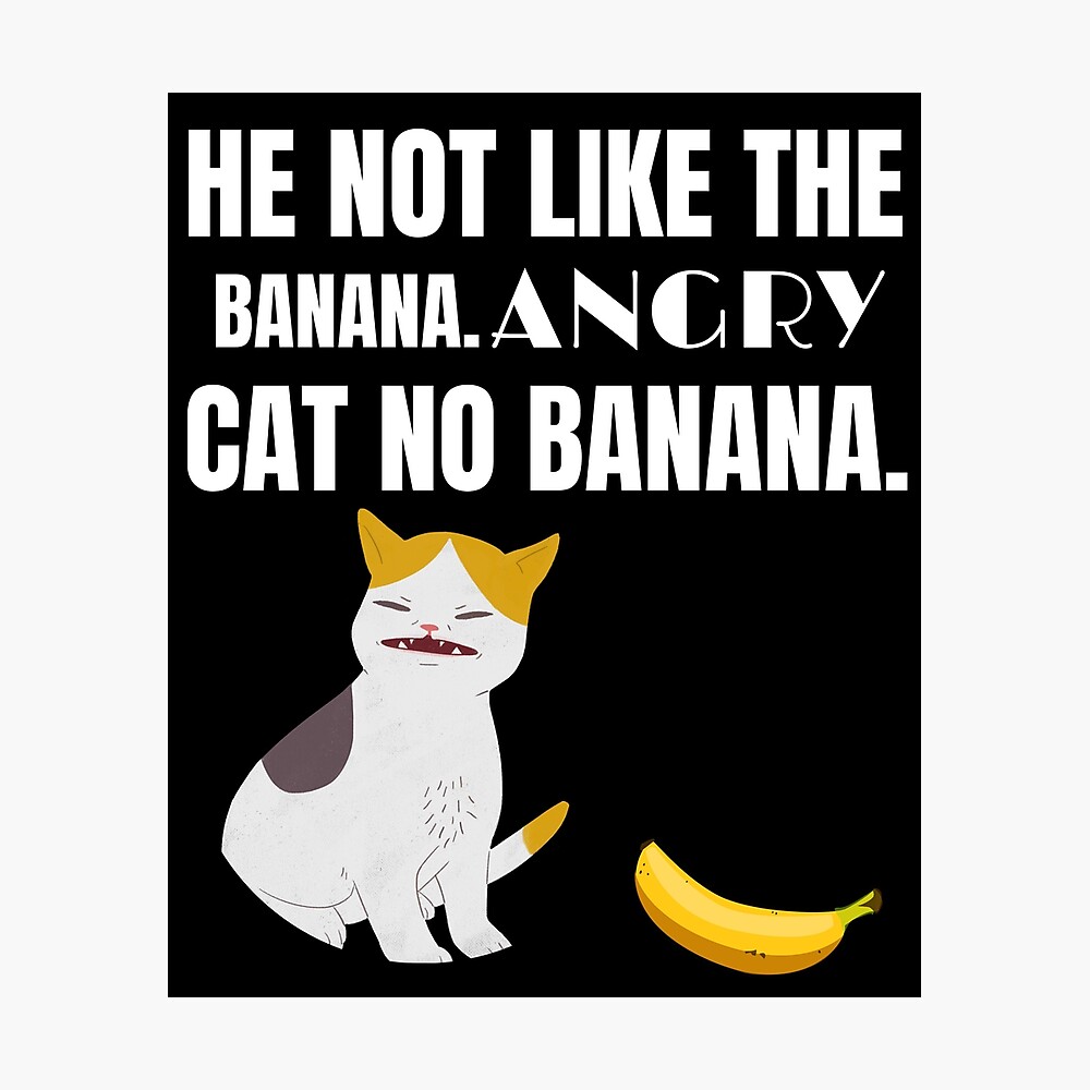 He Not Like The Banana Angry Cat No Banana Funny Cat Meme Poster For Sale By Danvspod Redbubble
