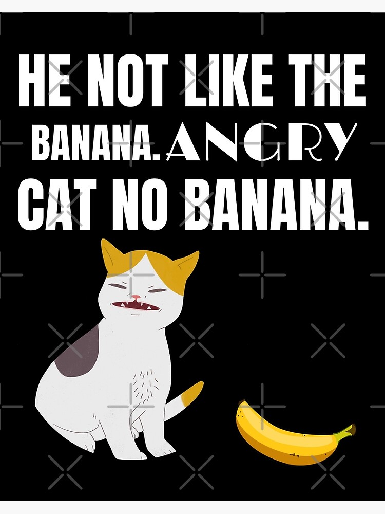 angry cat banana