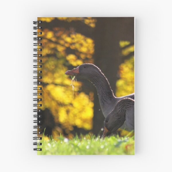 Item preview, Geese in Autumn designed and sold by Jo Nijenhuis.