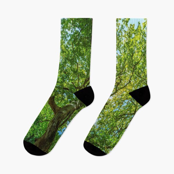 Item preview, Plane tree designed and sold by Lefteris Betsis.