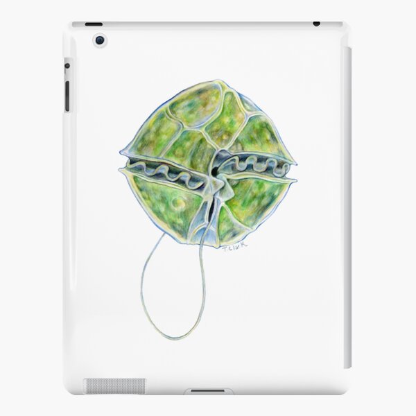 Alexandrium fundyense iPad Snap Case