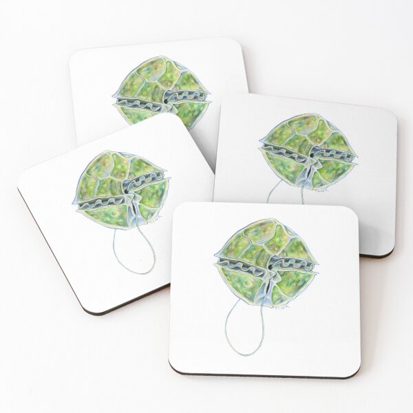 Item preview, Alexandrium fundyense designed and sold by Tamara Clark.