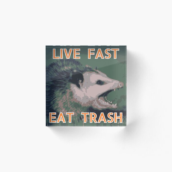 Live Fast, Eat Trash Acrylic Block