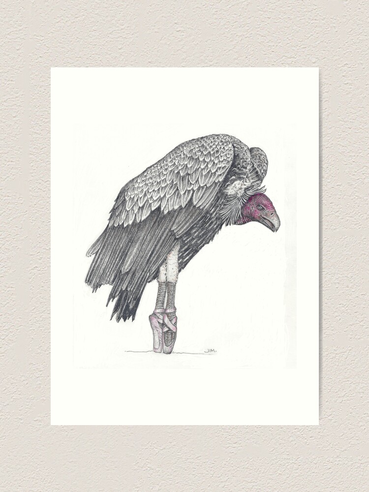vulture shoes